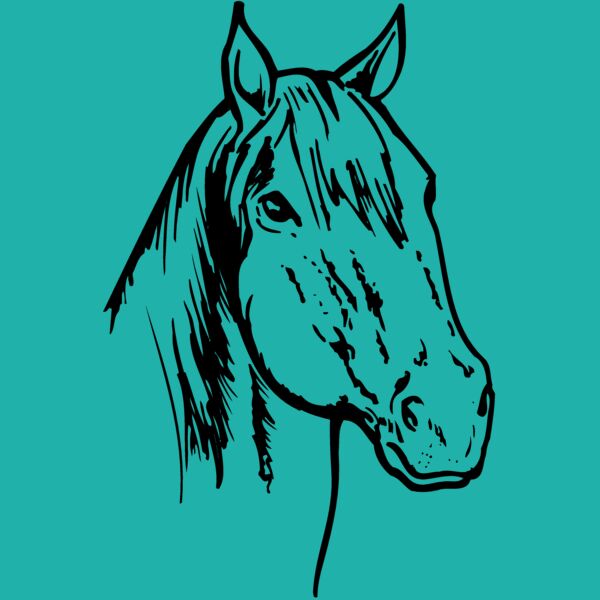 HORSE011 Thumbnail