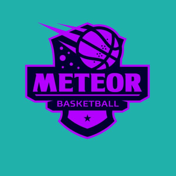Meteor Basketball logo template Thumbnail