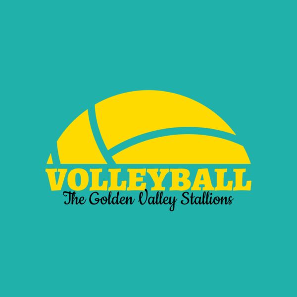 Volleyball 40 Thumbnail