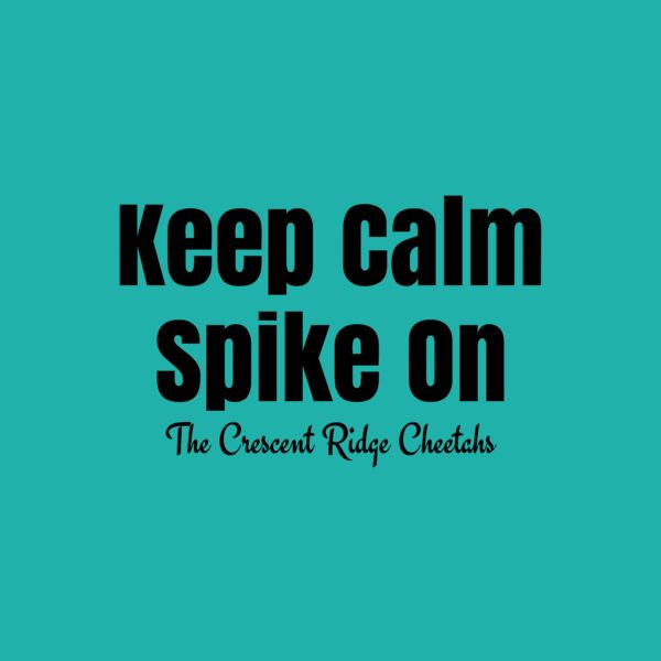 Volleyball 64 Thumbnail